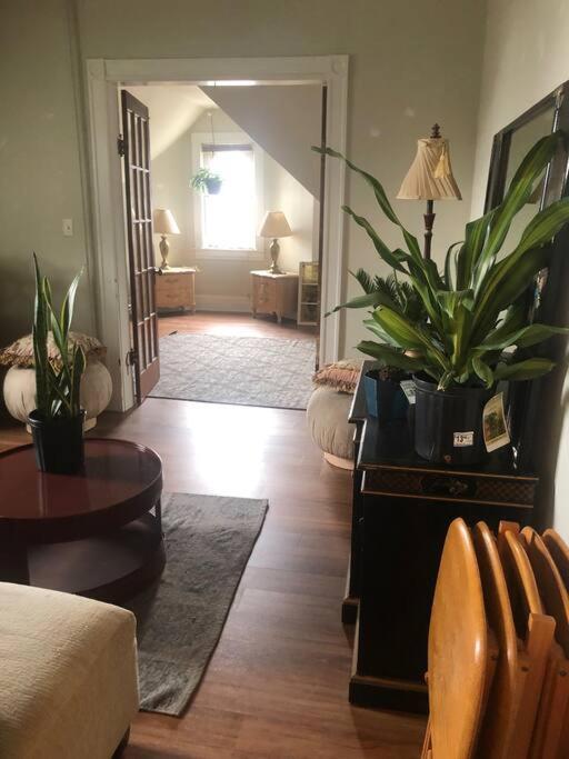 Redefined Alchemy - Bright, Eclectic, Pretty Apt 3E Little Falls Esterno foto