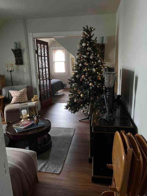 Redefined Alchemy - Bright, Eclectic, Pretty Apt 3E Little Falls Esterno foto