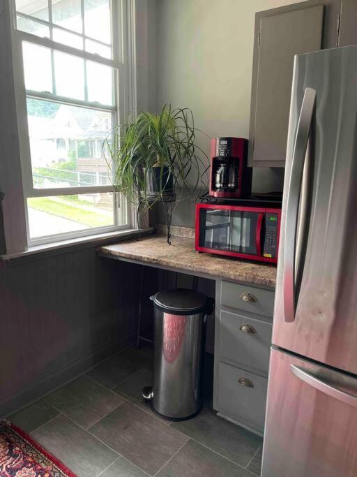 Redefined Alchemy - Bright, Eclectic, Pretty Apt 3E Little Falls Esterno foto