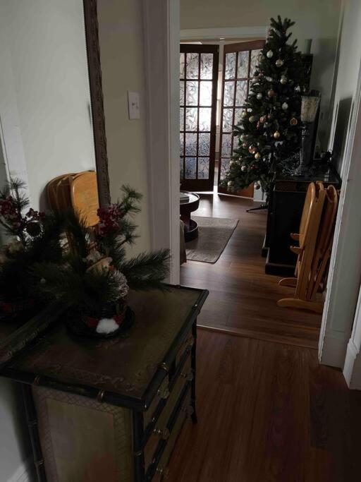 Redefined Alchemy - Bright, Eclectic, Pretty Apt 3E Little Falls Esterno foto